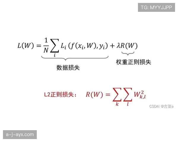 Osimhen训练专注度显著提升，稳定表现迎来良好开端