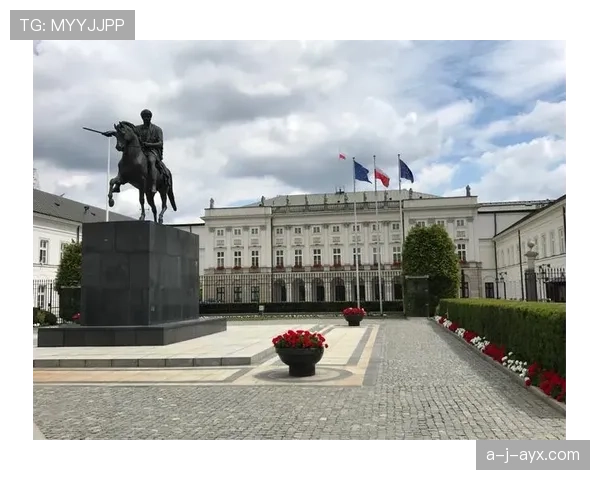 华沙主场氛围热烈，球迷助威成波兰队重要助力