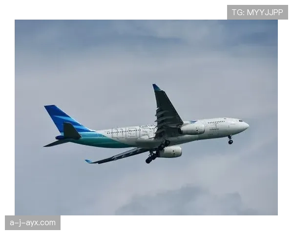 印尼队加鲁达飞翔